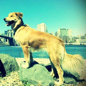 Meet your Posher, Paul